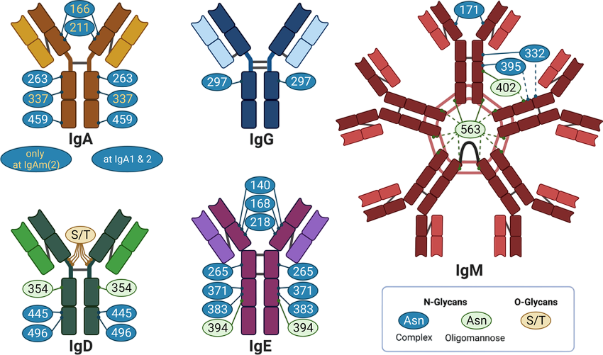 ¿Qué es la Medicina Tradicional China? | Medicina Tradicional China y Acupuntura | Valladolid